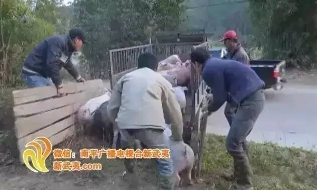 延平区乡镇人口_...2018中国.延平乡村艺术季\