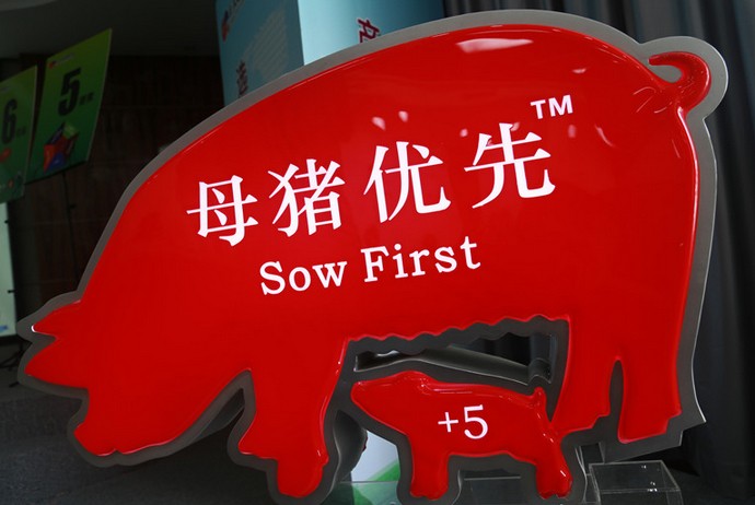 <b><font color='#FF0000'>正大康地举办首届母猪优先知识学习班</font></b>