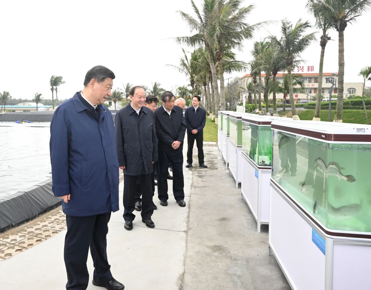 <b>习近平在广东考察调研</b>