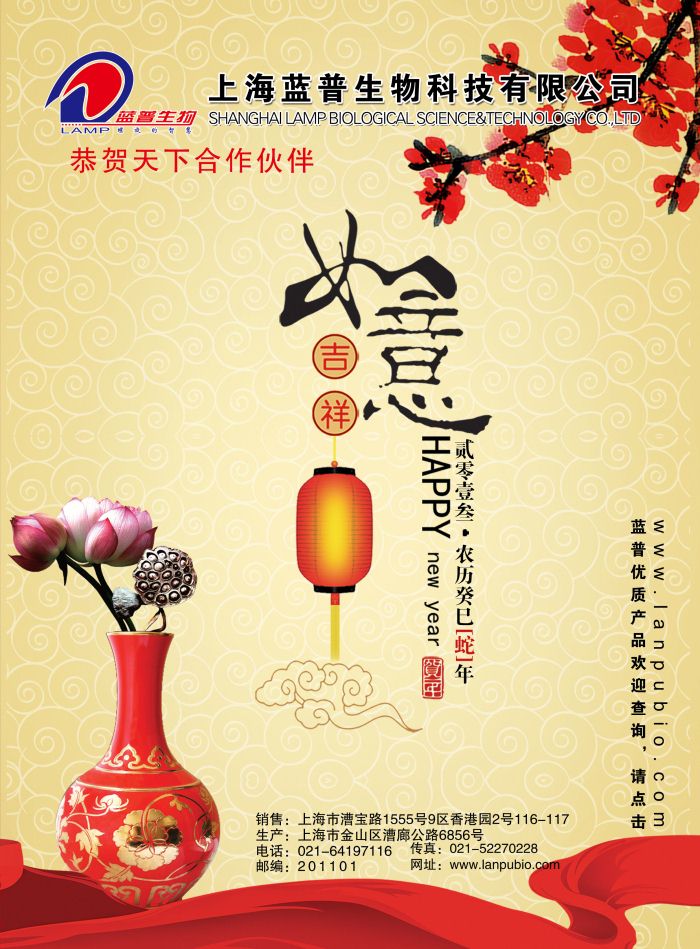 <b>上海蓝普 贺新春</b>