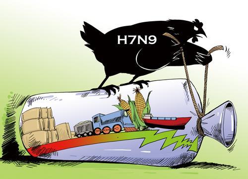 h7n9禽流感致饲料销量下降