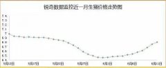 王中 ?猪行情是在酝酿新的能量吗?
