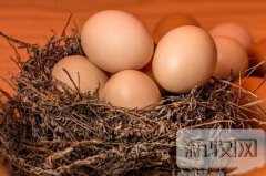 不合格的鸡蛋，更多是备受推崇的“走地鸡”？